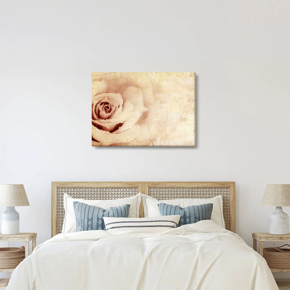 Obraz - Kwiat róży dla zakochanych (70x50 cm)