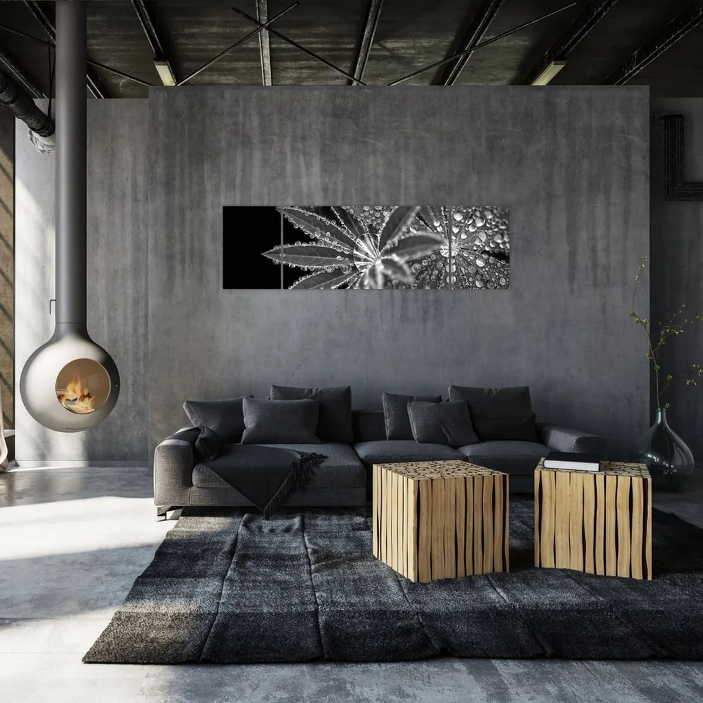 Obraz - Liście z kroplami (170x50 cm)
