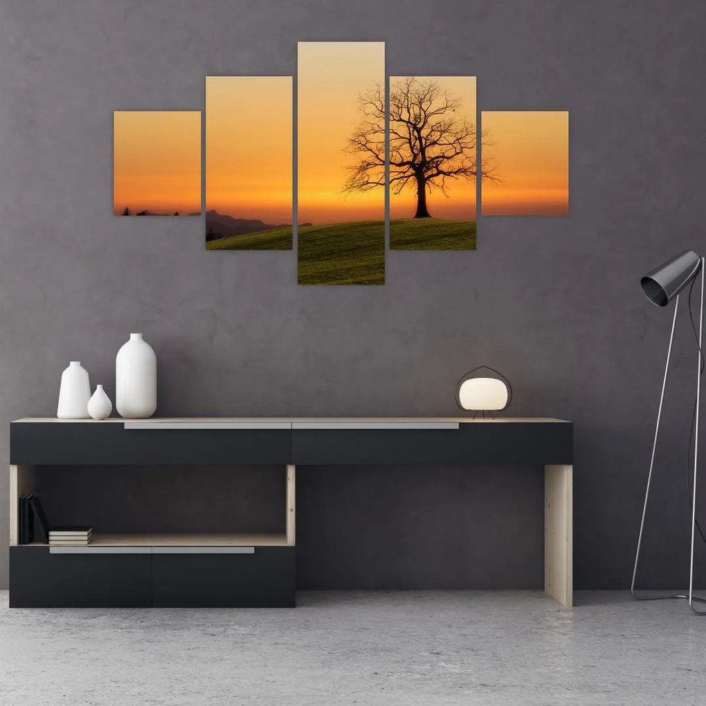 Obraz zachodu słońca na łące (125x70 cm)