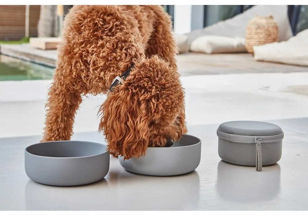 Silikonowy zestaw misek podróżnych dla psów ø 19 cm Bento Concrete/Slate – MiaCara