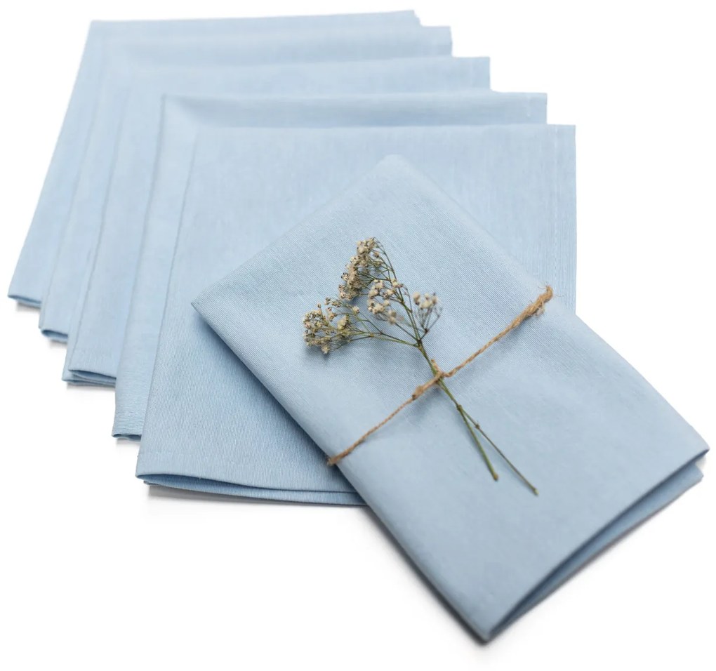 Komplet serwetek 6 szt. 42x42cm Loneta 133-35