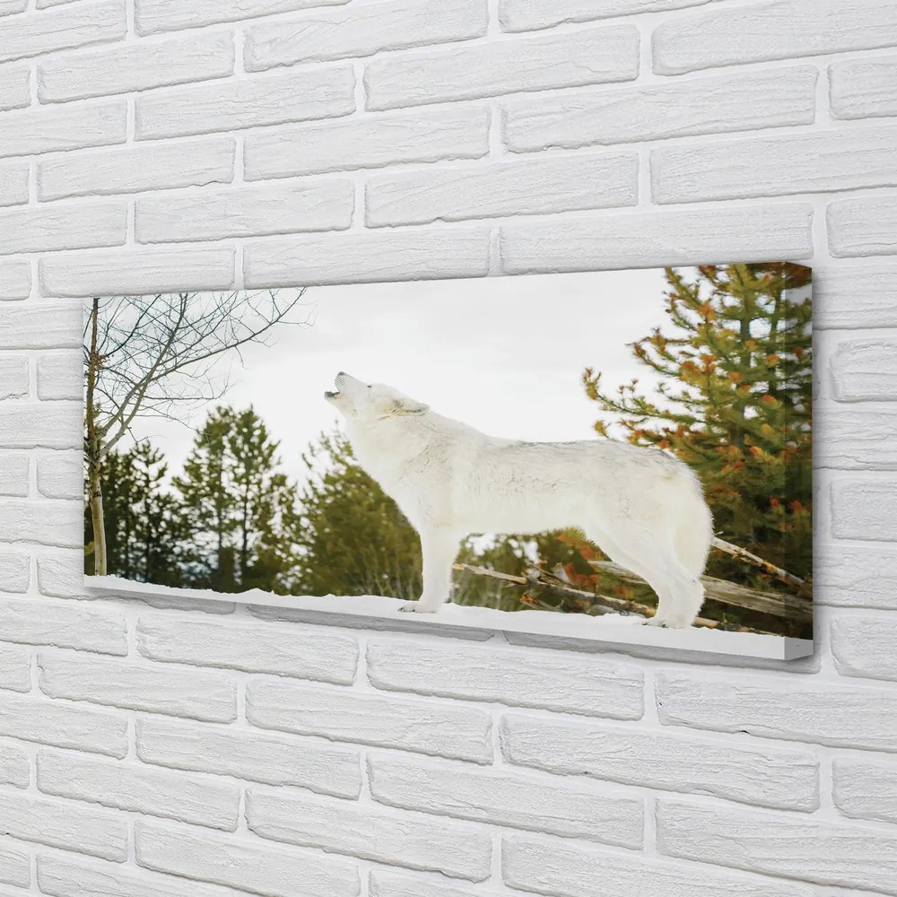 Obraz drukowany na płótnie Wilk w Zimowym Lesie