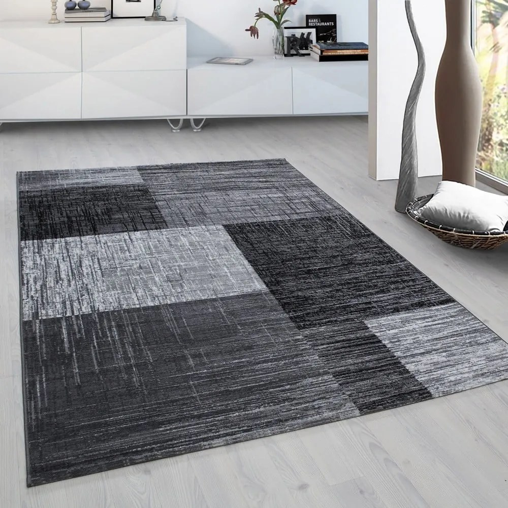 Szary dywan 120x170 cm Plus – Ayyildiz Carpets