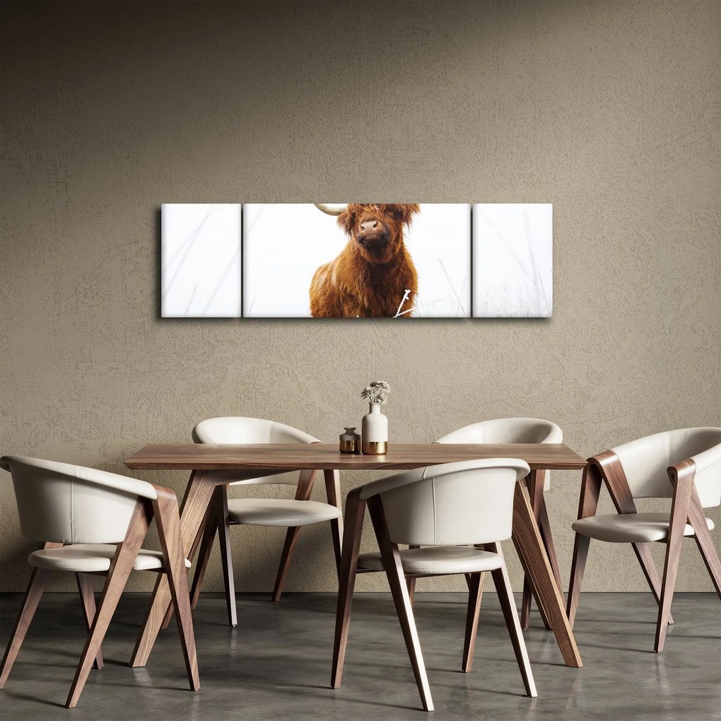 Obraz - Szkocka krowa (170x50 cm)
