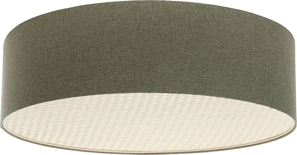 Plafon sufitowy ERUTAN RATTAN 60 zielony