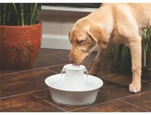 PetSafe® Fontanna ceramiczna Avalon 2l