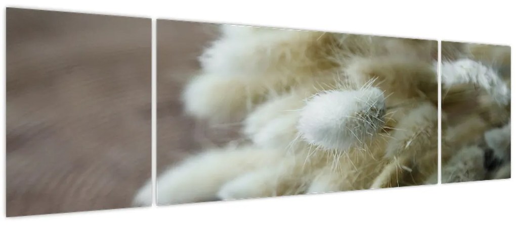 Obraz - Zajęczy ogonek (170x50 cm)