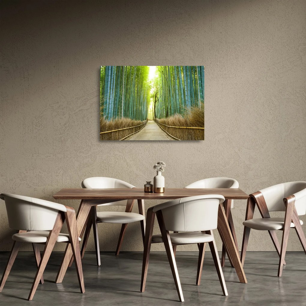 Obraz na szkle - Las bambusowy (70x50 cm)