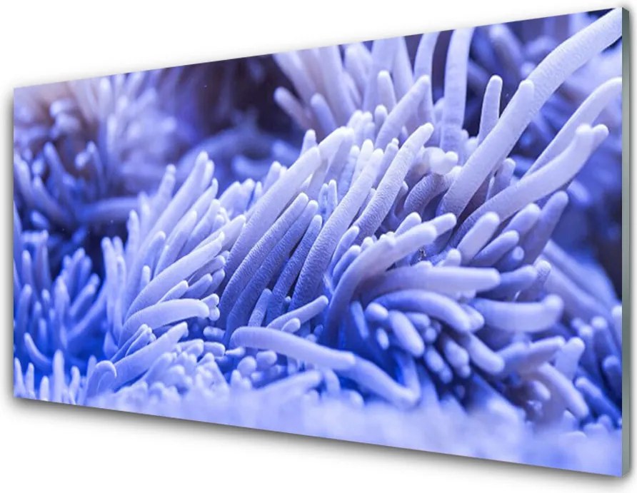 Panel Szklany do Kuchni Modernistyczna Gra Barw