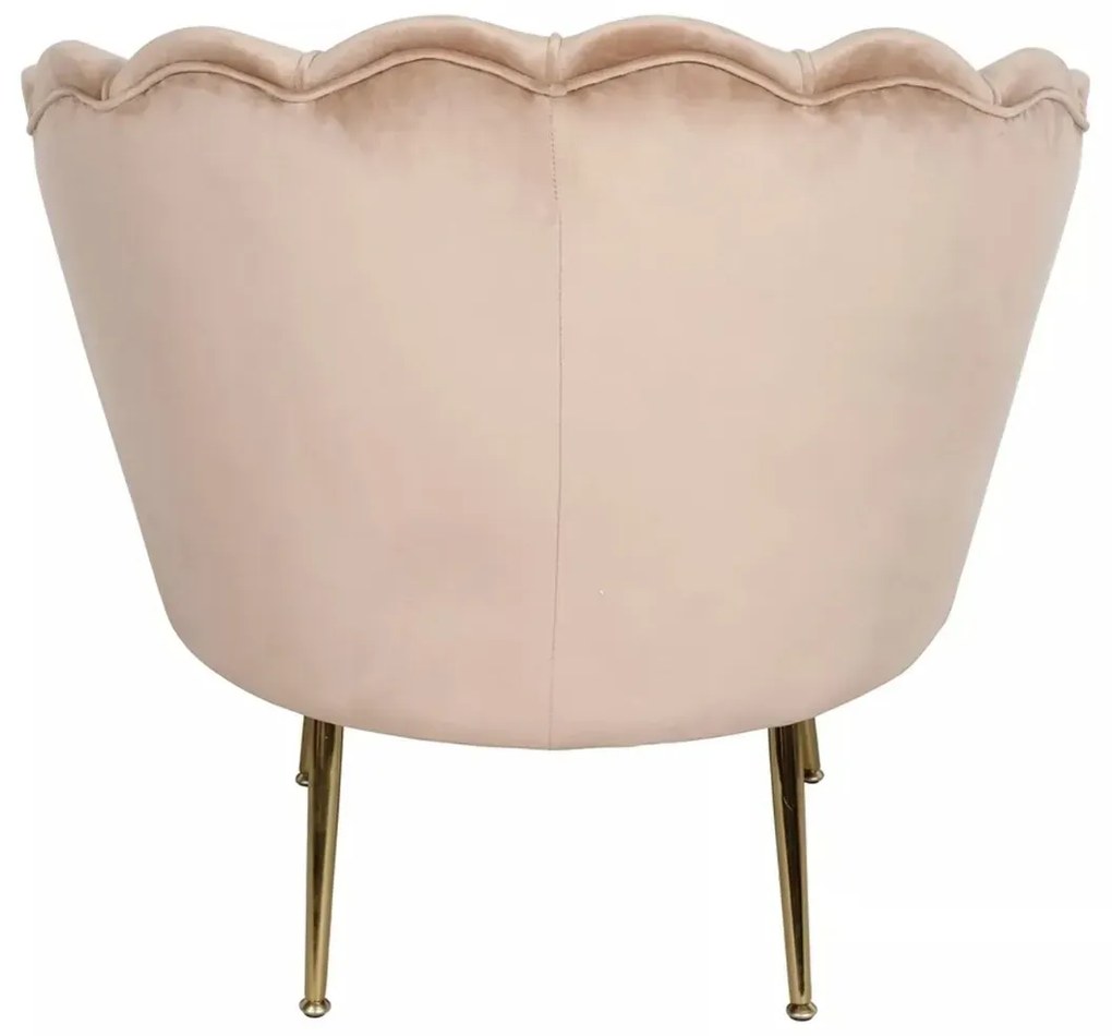 FOTEL CAMELLIA 1 VELVET BEŻOWY BLUVEL 28/ZŁOTY SIGNAL
