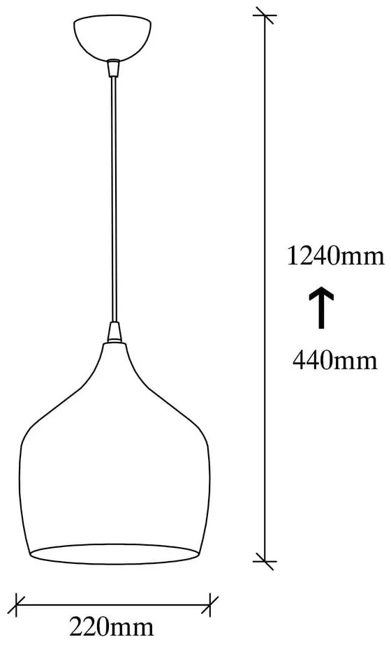 Czarna lampa wisząca z metalowym kloszem ø 22 cm Dodo – Opviq lights