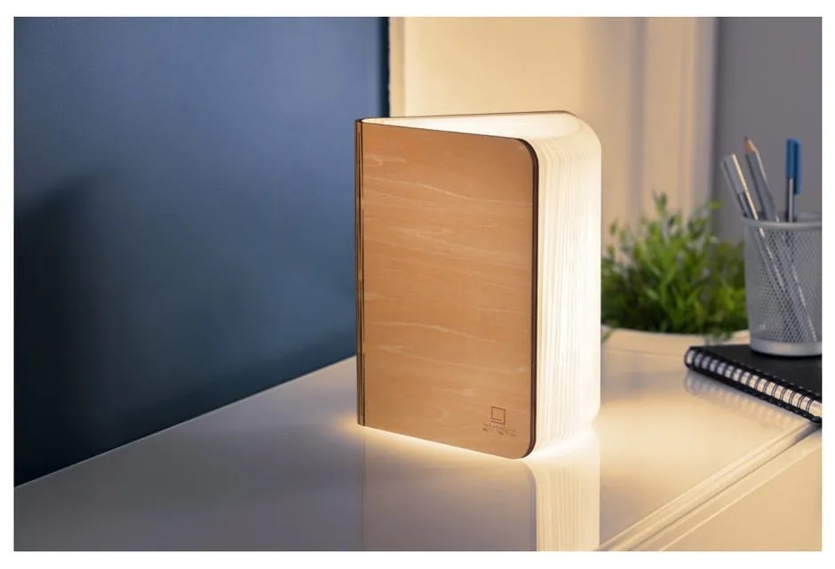 Dekoracja świetlna na USB w naturalnym kolorze Booklight – Gingko
