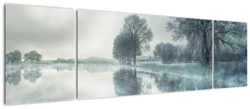 Obraz zimowej natury (170x50 cm)