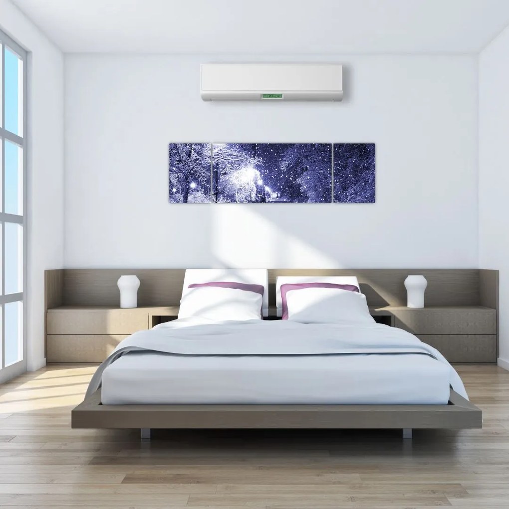 Obraz - Magiczna zimowa noc (170x50 cm)