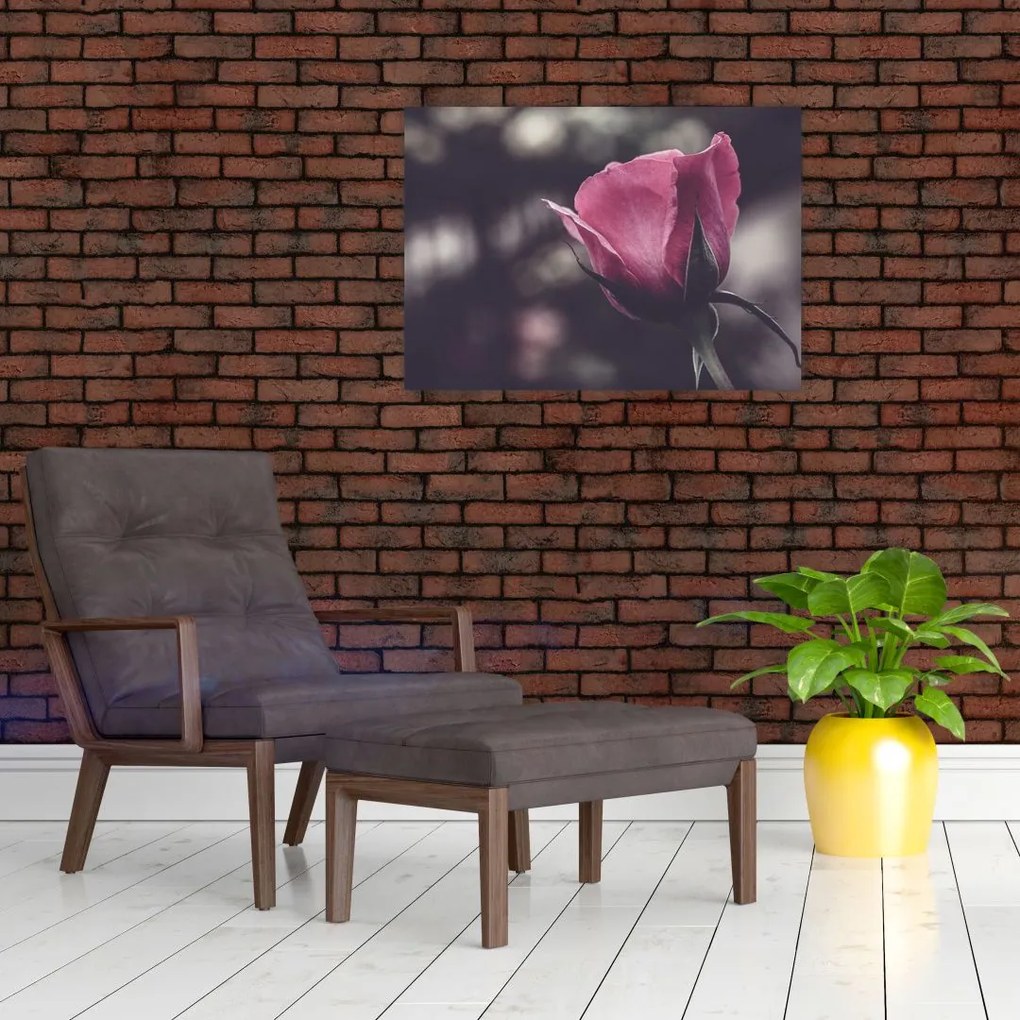 Obraz na szkle - Detal kwiatu róży (70x50 cm)