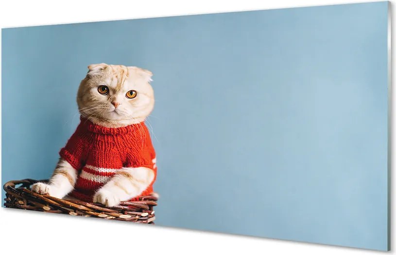 Panel Szklany Portret Siedzącego Kota