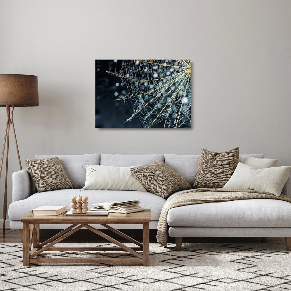Obraz na szkle - Kwiat z pajęczyną (70x50 cm)