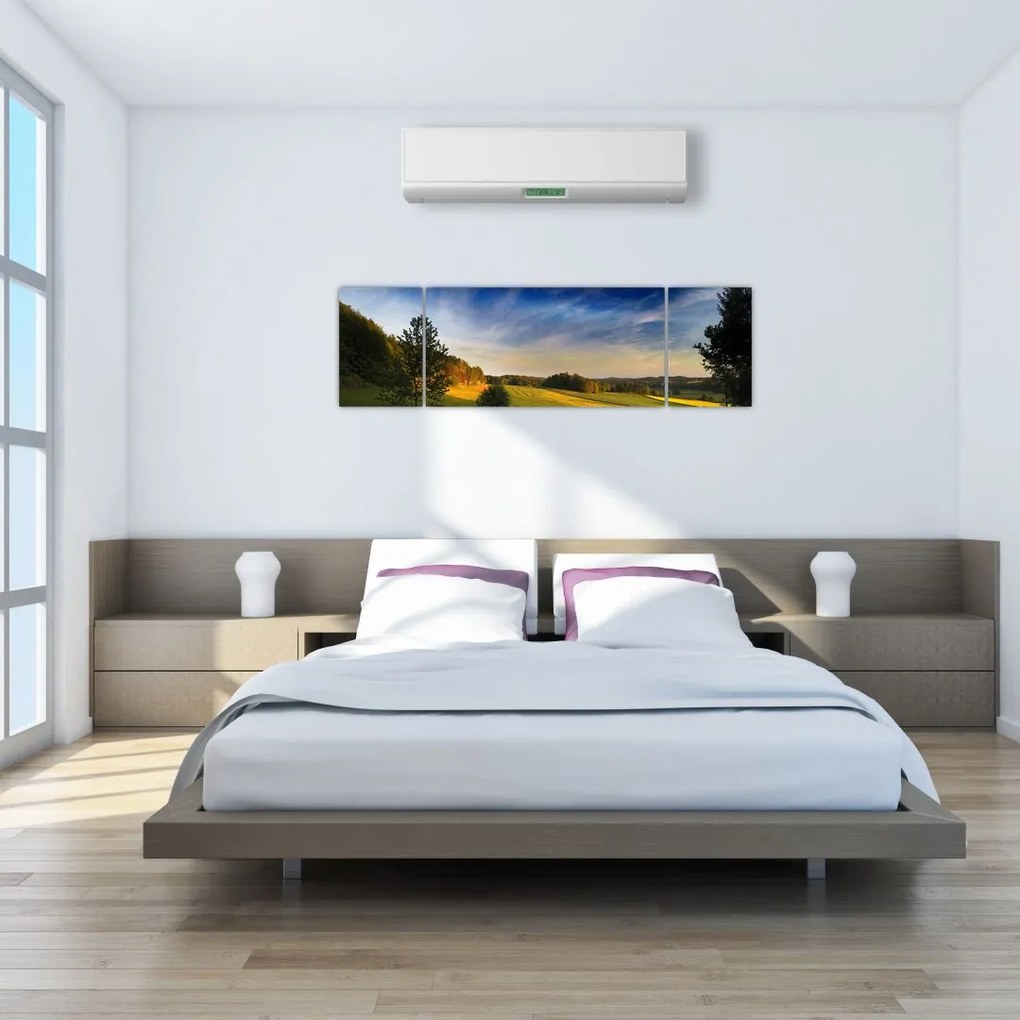 Obraz - Górska łąka (170x50 cm)