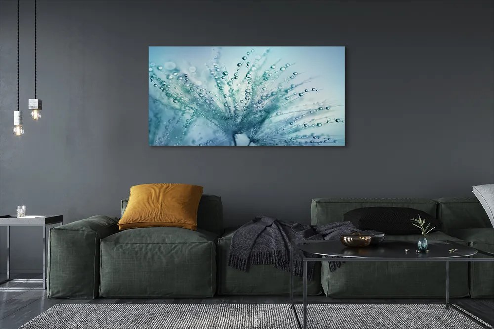 Obraz canvas na ścianę Ulotne Krople na Dmuchawcu