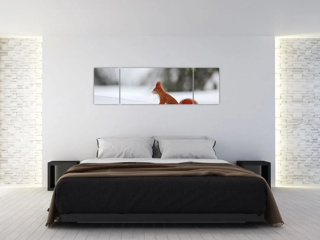 Obraz wiewiórki (170x50 cm)