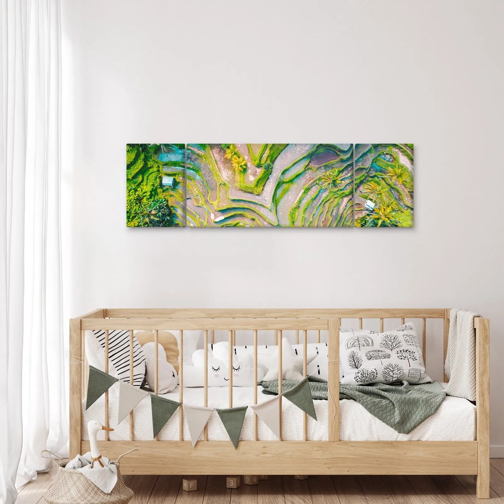 Obraz pól ryżowych z lotu ptaka (170x50 cm)