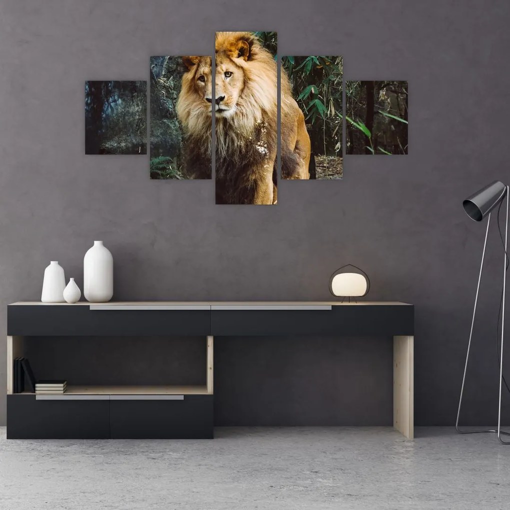 Obraz lwa w naturze (125x70 cm)