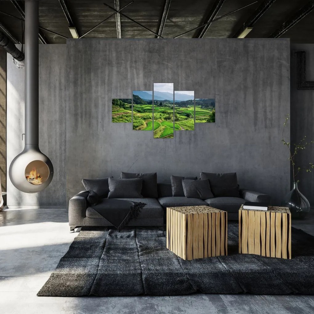 Obraz pól ryżowych (125x70 cm)