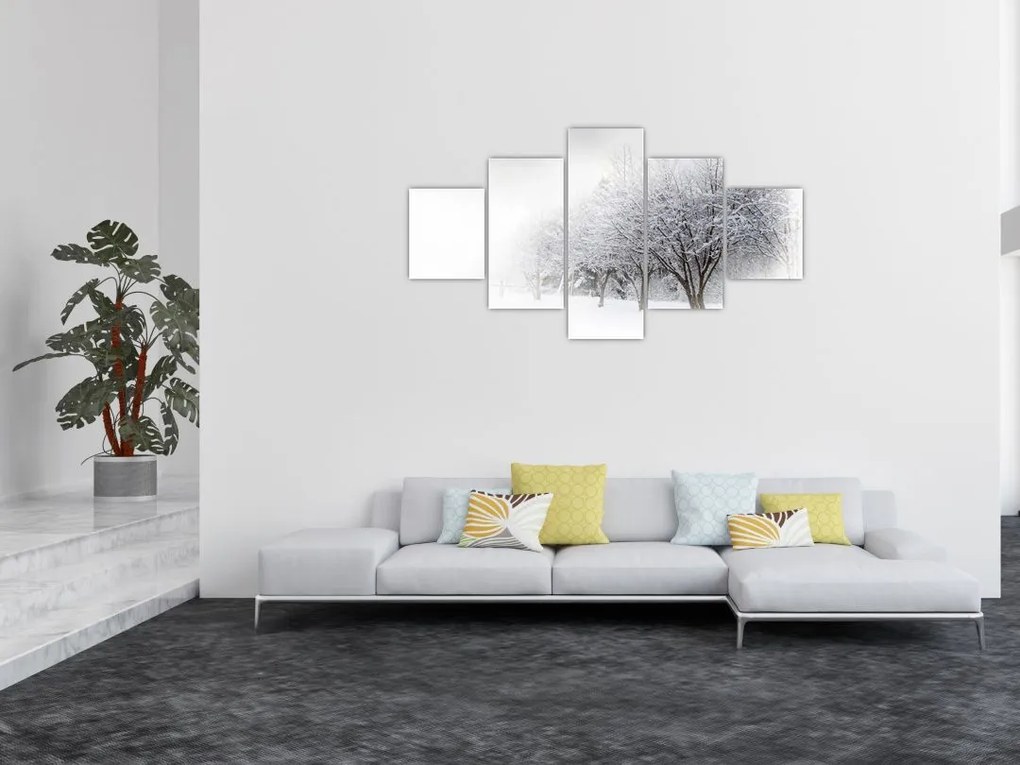 Obraz - Zimowa aleja (125x70 cm)