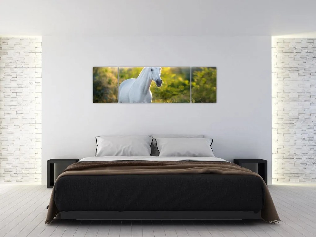 Obraz białego konia na łące (170x50 cm)