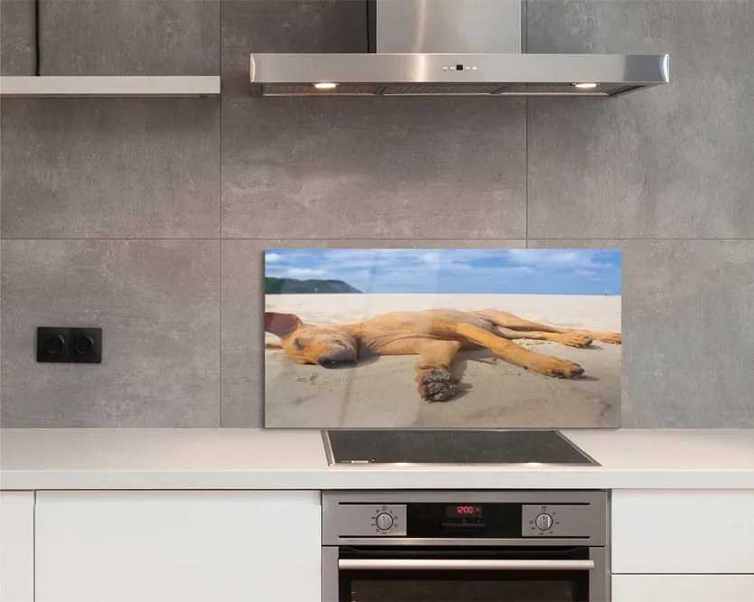 Szklany Panel Relaks Psa na Gorącym Piasku