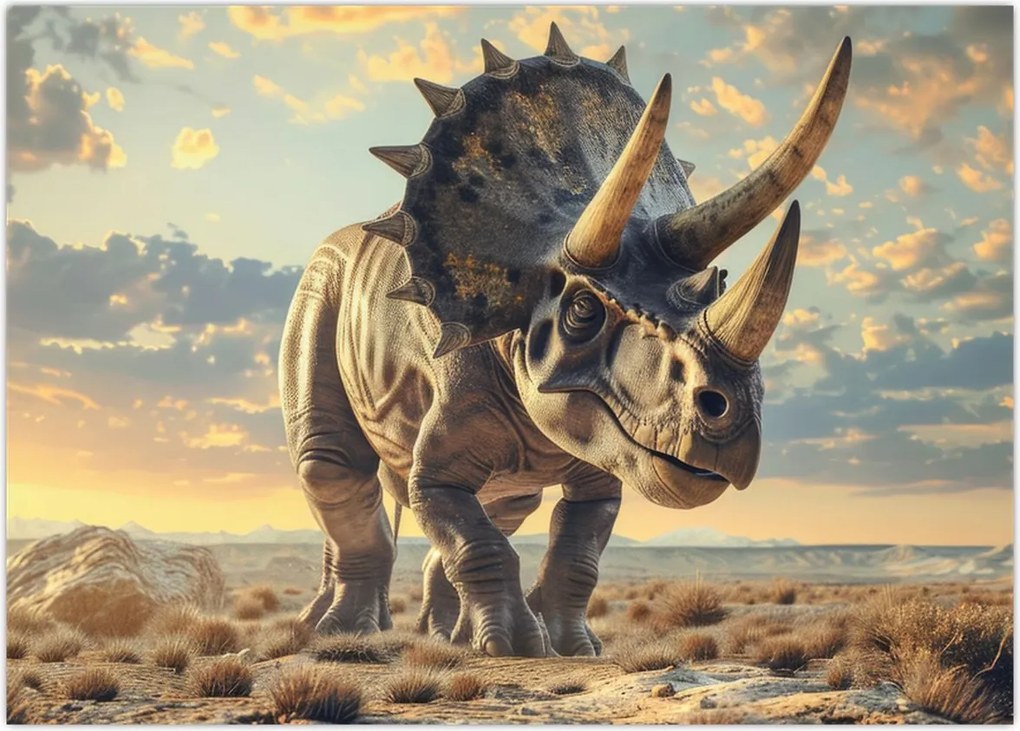 Obraz - Triceratops (70x50 cm)