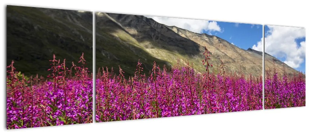 Obraz scenerii łąki górskiej (170x50 cm)