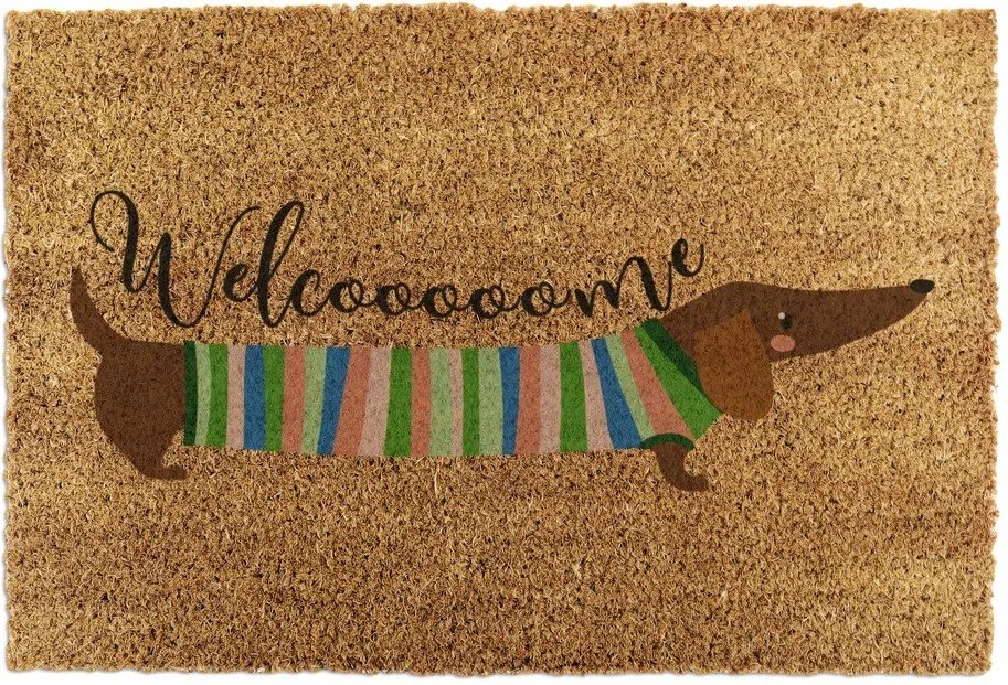 Wycieraczka z włókna kokosowego 40x60 cm Welcome Sausage Dog – Artsy Doormats