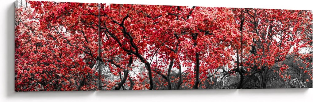 Obraz - Czerwone drzewa, Central Park, New York (170x50 cm)