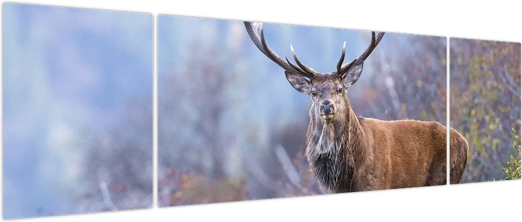 Obraz - Jeleń w krajobrazie (170x50 cm)