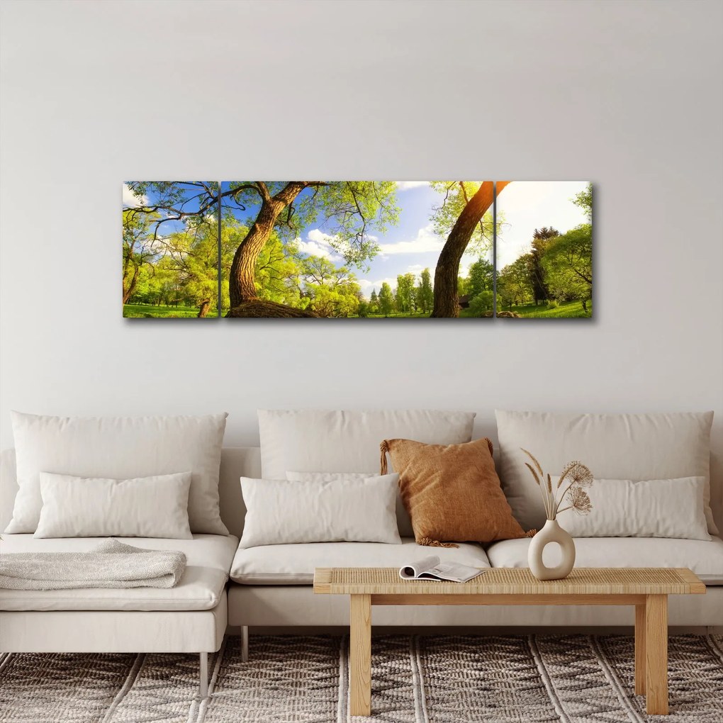 Obraz wiosennej łąki (170x50 cm)