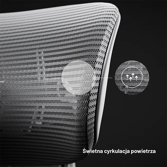 Fotel biurowy, ergonomiczny Diablo V-Light, szary