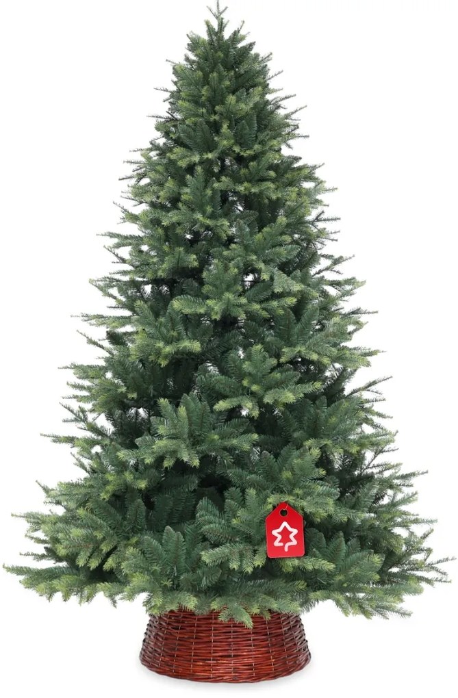 Świerk himalajski 150 cm