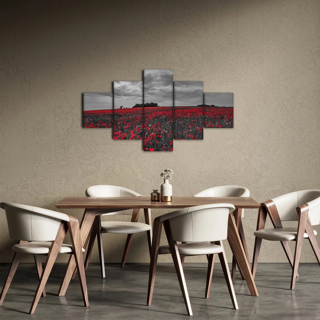 Obraz maków (125x70 cm)