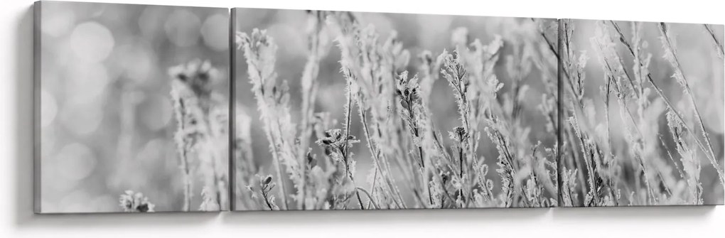 Obraz - Mroźna zima (170x50 cm)