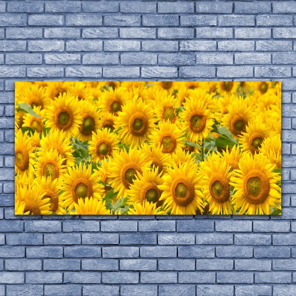 Zdjęcie na płótnie Słonecznik w Pełnym Słońcu
