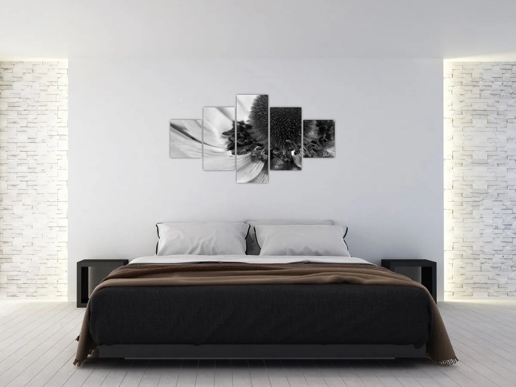 Obraz - Kwiat w czerni i bieli (125x70 cm)