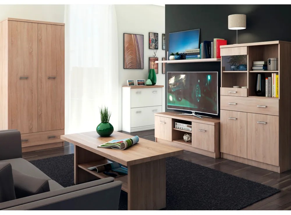 Stolik TV TOPTY 2D, dąb sonoma