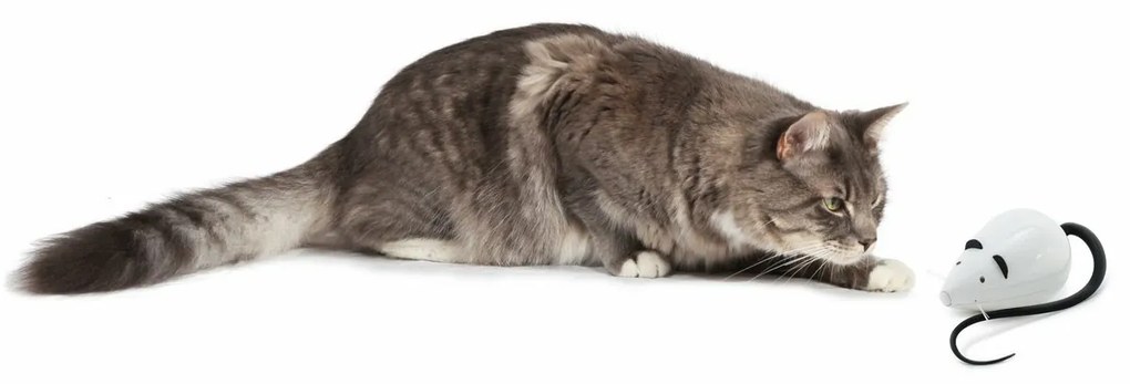 FroliCat® RoloRat Automatyczna zabawka dla kotów