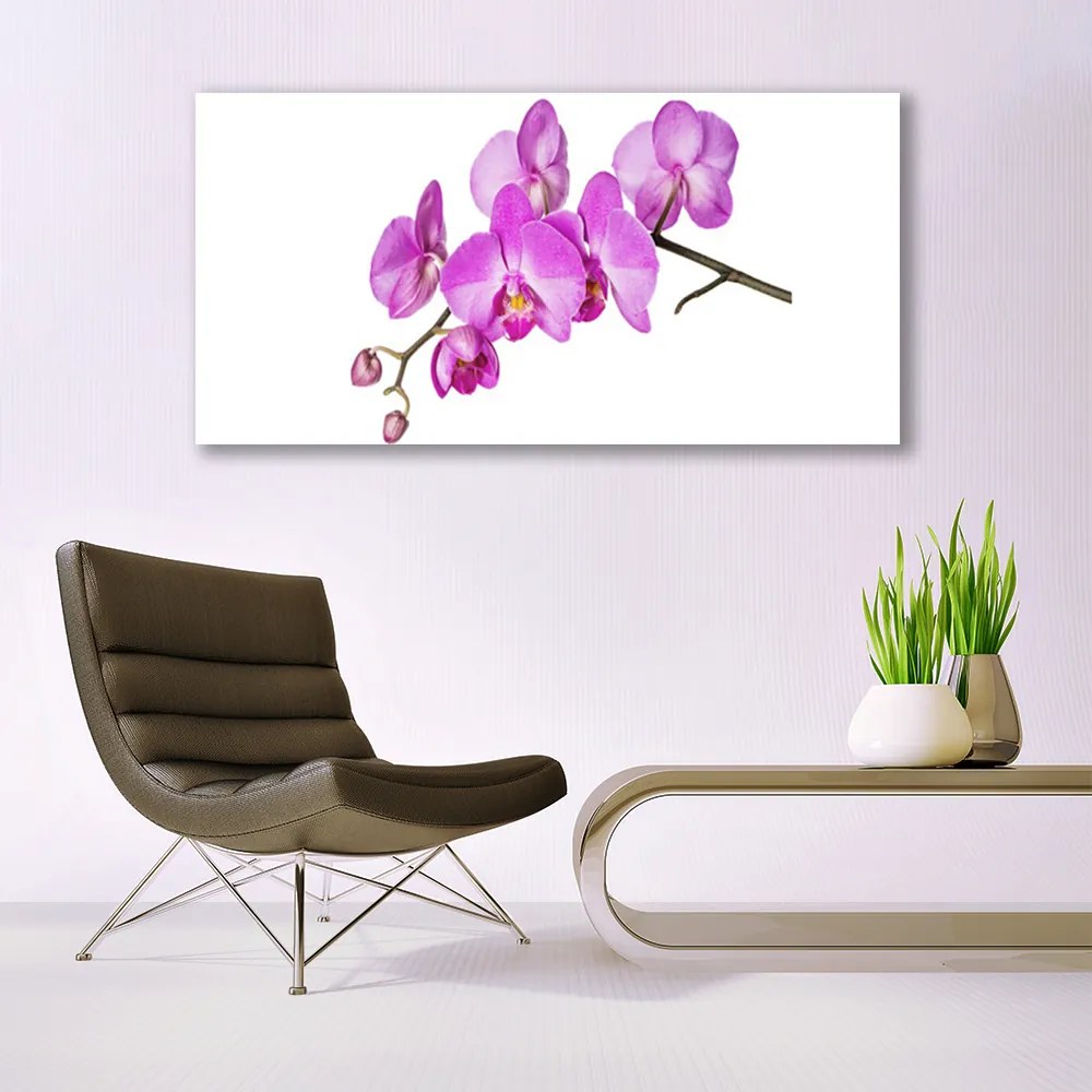 Obraz Canvas Storczyk Orchidea Kwiaty