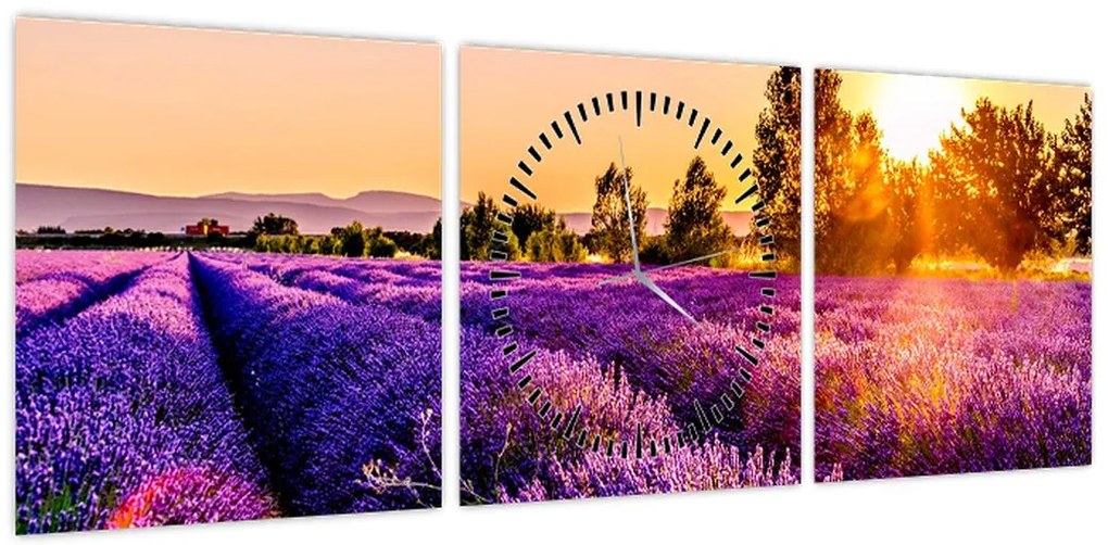Obraz lawendowego pola (z zegarem) (90x30 cm)