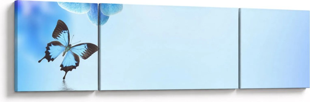 Obraz - Motyl na kwiatach orchidei, niebieski (170x50 cm)