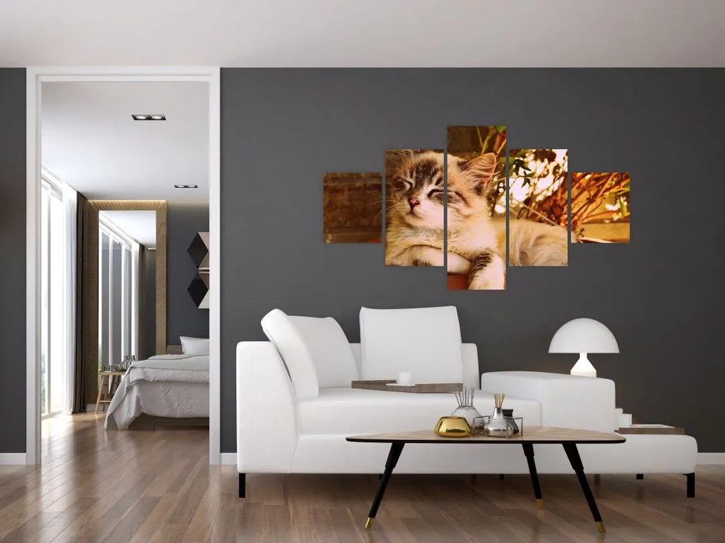 Obraz kota w doniczce (125x70 cm)