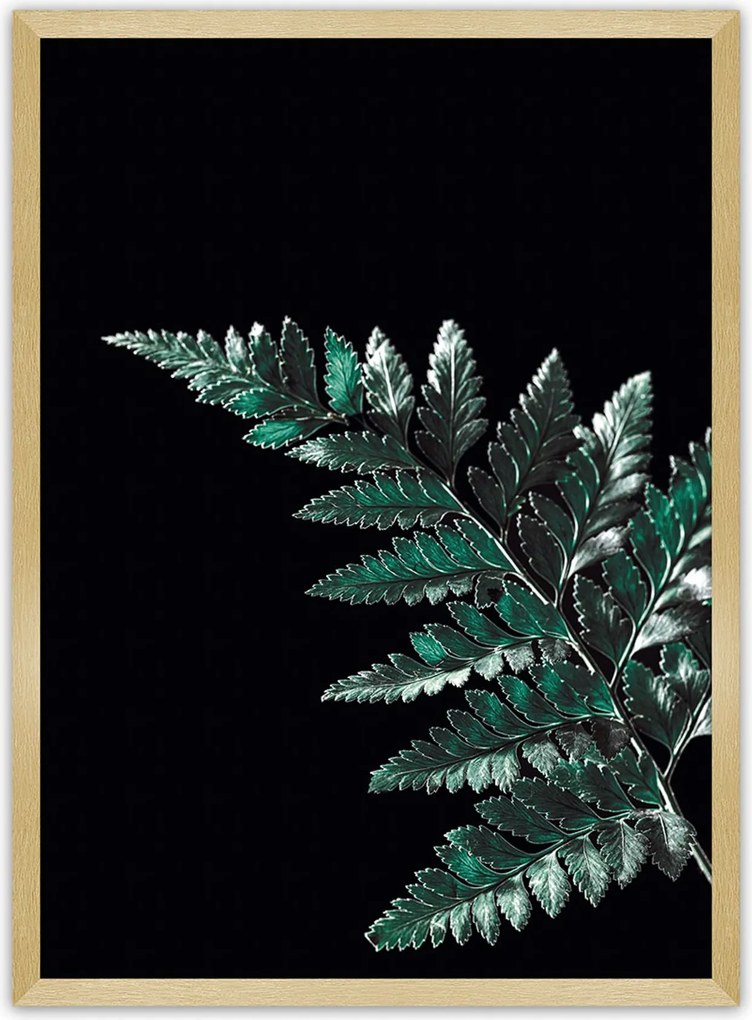 Plakat Dark Fern Leaf