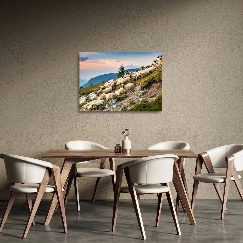 Obraz na szkle - Stado owiec (70x50 cm)